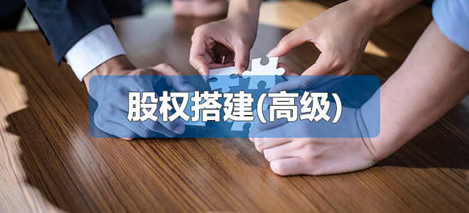 股權(quán)搭建(高級)